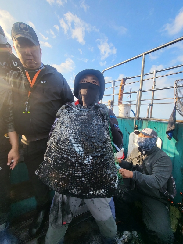 무창포뉴체이스호의 조황일지 이미지 - 1