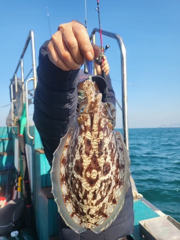 무창포뉴체이스호의 조황일지 이미지 - 7