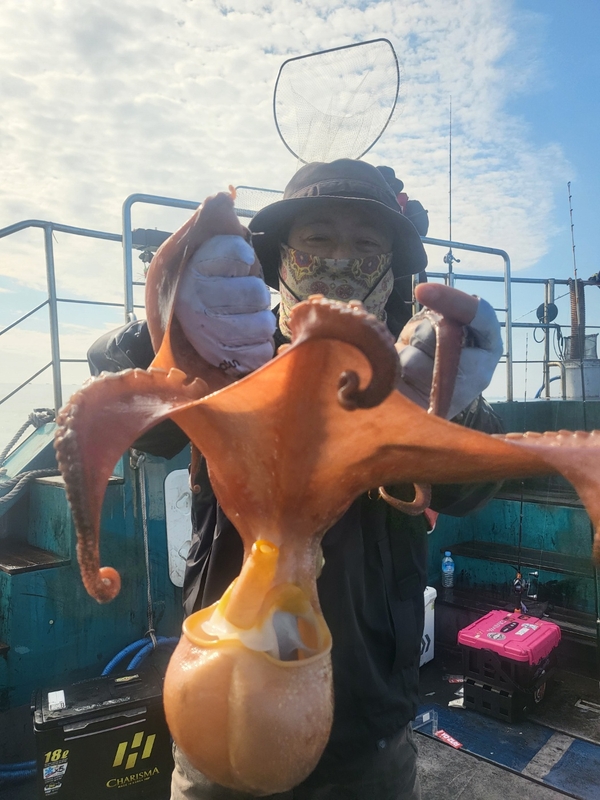 무창포뉴체이스호의 조황일지 이미지 - 10