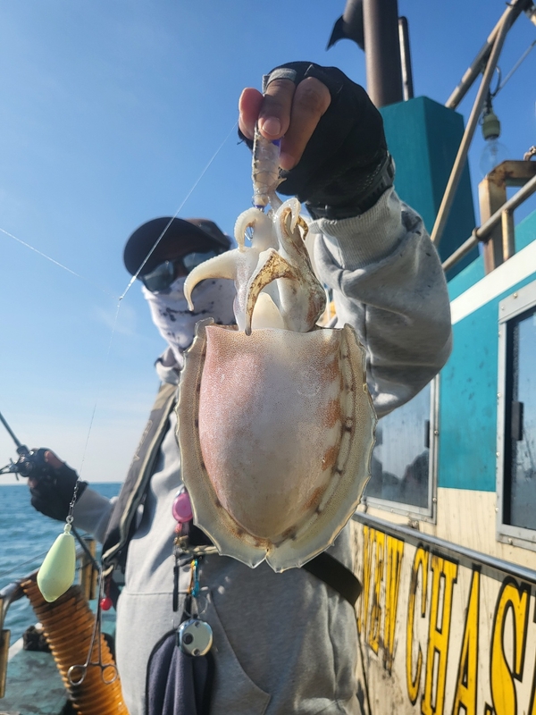 무창포뉴체이스호의 조황일지 이미지 - 10