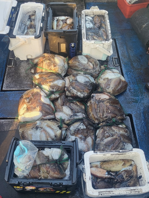 무창포뉴체이스호의 조황일지 이미지 - 8