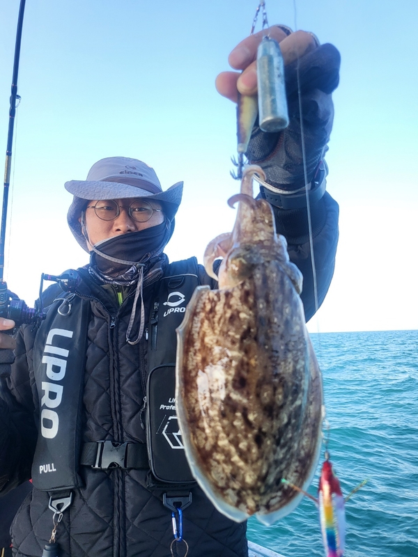 무창포뉴체이스호의 조황일지 이미지 - 5