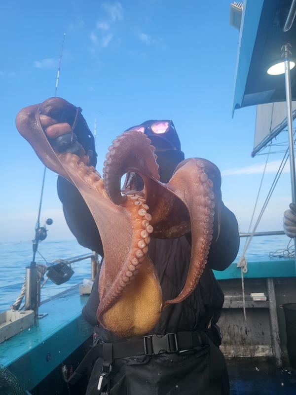 무창포뉴체이스호의 조황일지 이미지 - 8