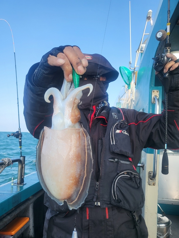 무창포뉴체이스호의 조황일지 이미지 - 7