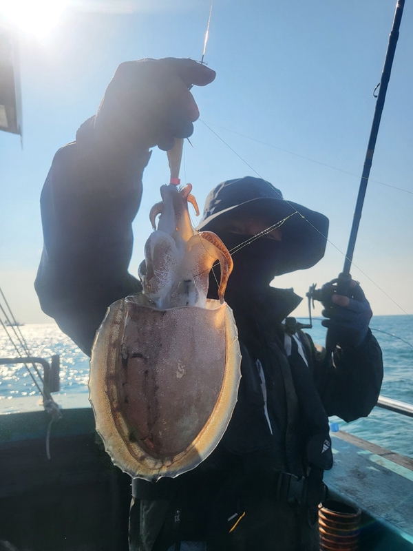 무창포뉴체이스호의 조황일지 이미지 - 5