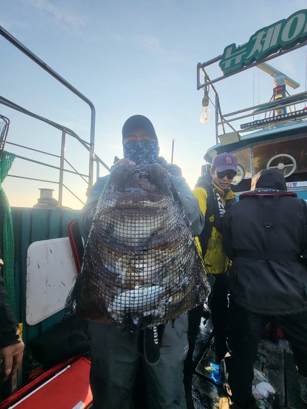 무창포뉴체이스호의 조황일지 이미지 - 15