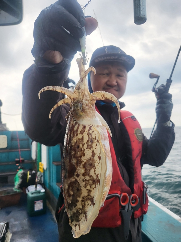 무창포뉴체이스호의 조황일지 이미지 - 7