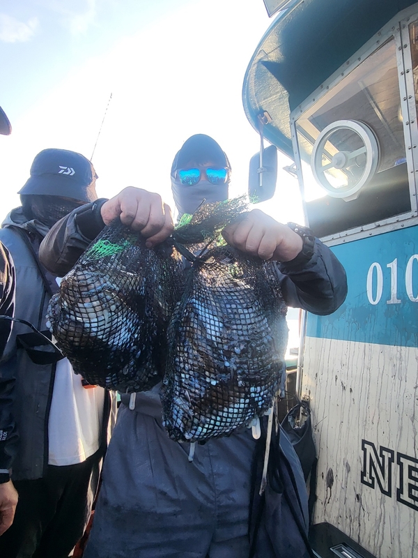 무창포뉴체이스호의 조황일지 이미지 - 7