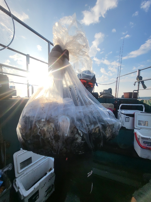 무창포뉴체이스호의 조황일지 이미지 - 2