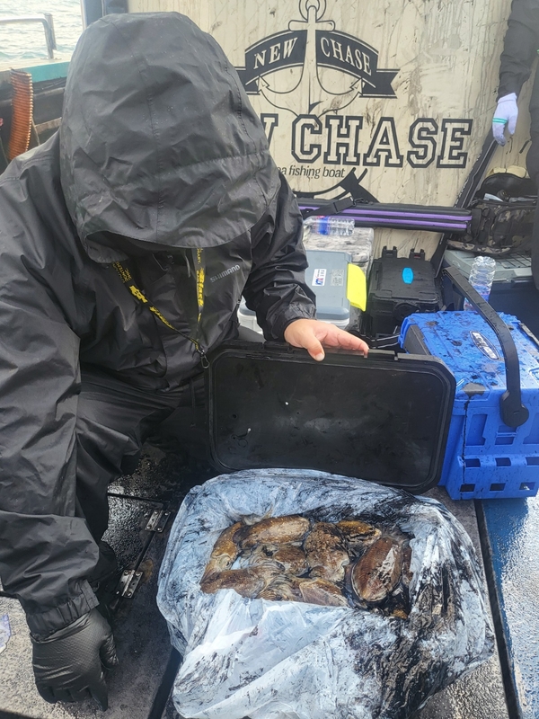 무창포뉴체이스호의 조황일지 이미지 - 6