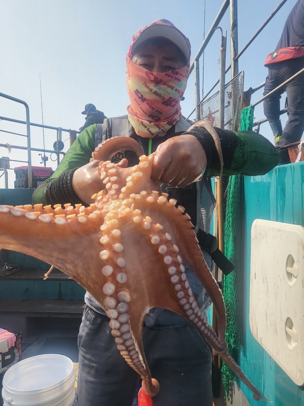 무창포뉴체이스호의 조황일지 이미지 - 2