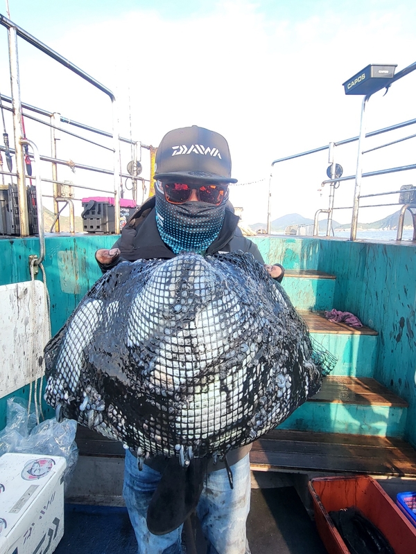 무창포뉴체이스호의 조황일지 이미지 - 8