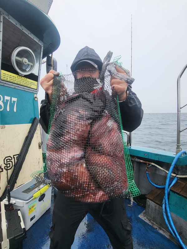 무창포뉴체이스호의 조황일지 이미지 - 10