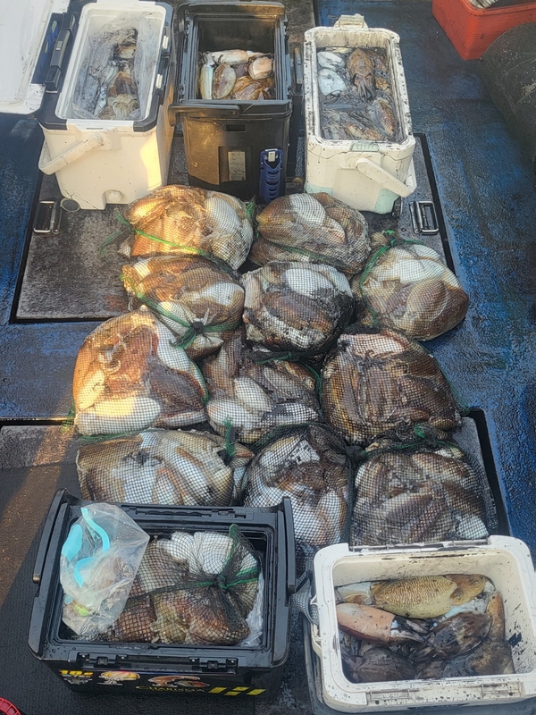 무창포뉴체이스호의 조황일지 이미지 - 7