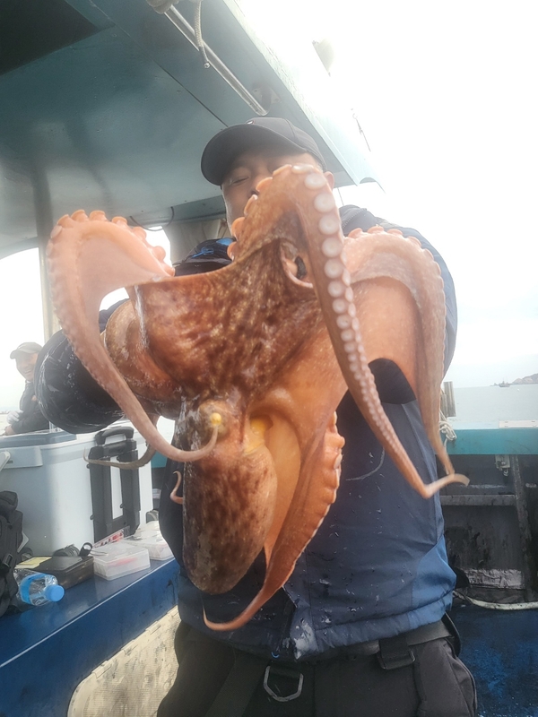 무창포뉴체이스호의 조황일지 이미지 - 5