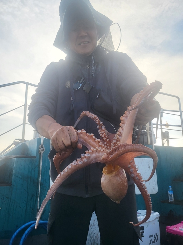 무창포뉴체이스호의 조황일지 이미지 - 6