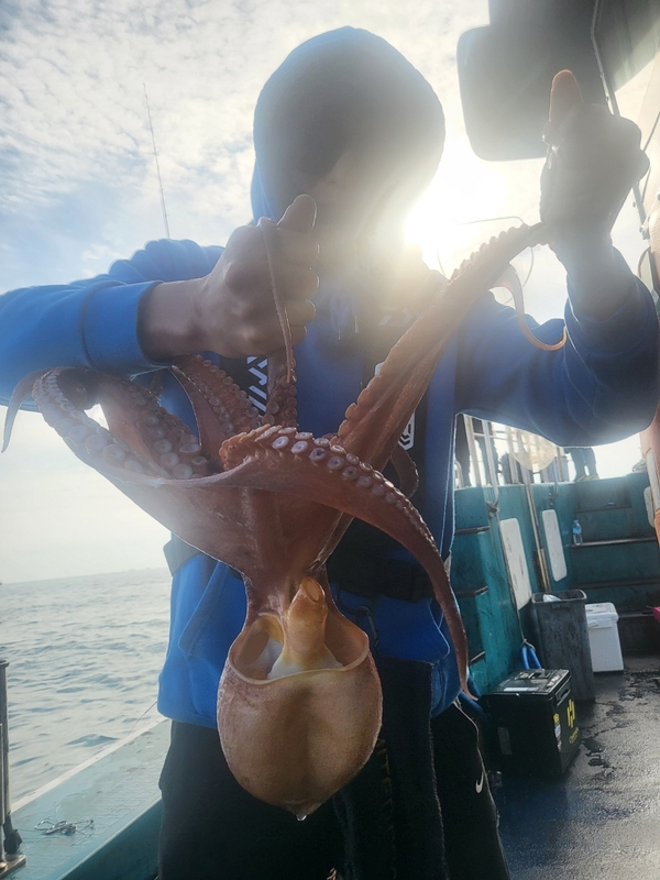 무창포뉴체이스호의 조황일지 이미지 - 7