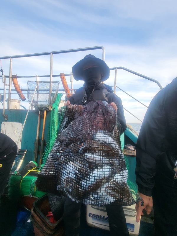 무창포뉴체이스호의 조황일지 이미지 - 9