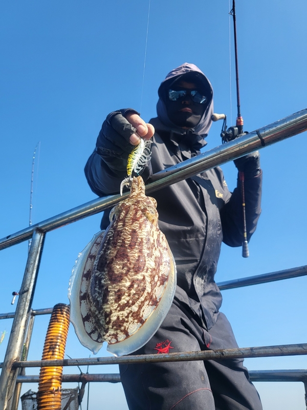 무창포뉴체이스호의 조황일지 이미지 - 8