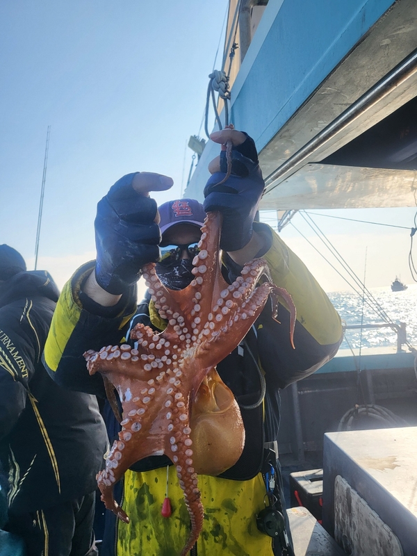 무창포뉴체이스호의 조황일지 이미지 - 11