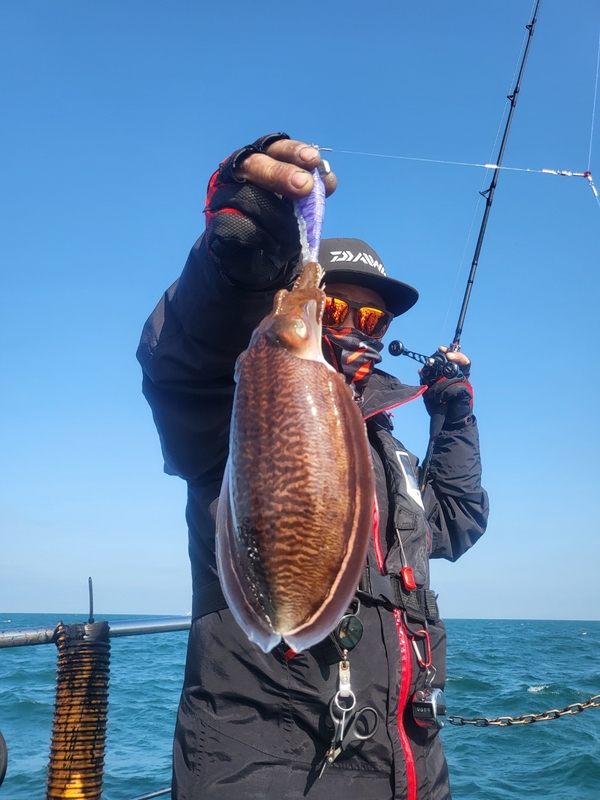 무창포뉴체이스호의 조황일지 이미지 - 2