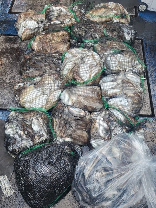 무창포뉴체이스호의 조황일지 이미지 - 9