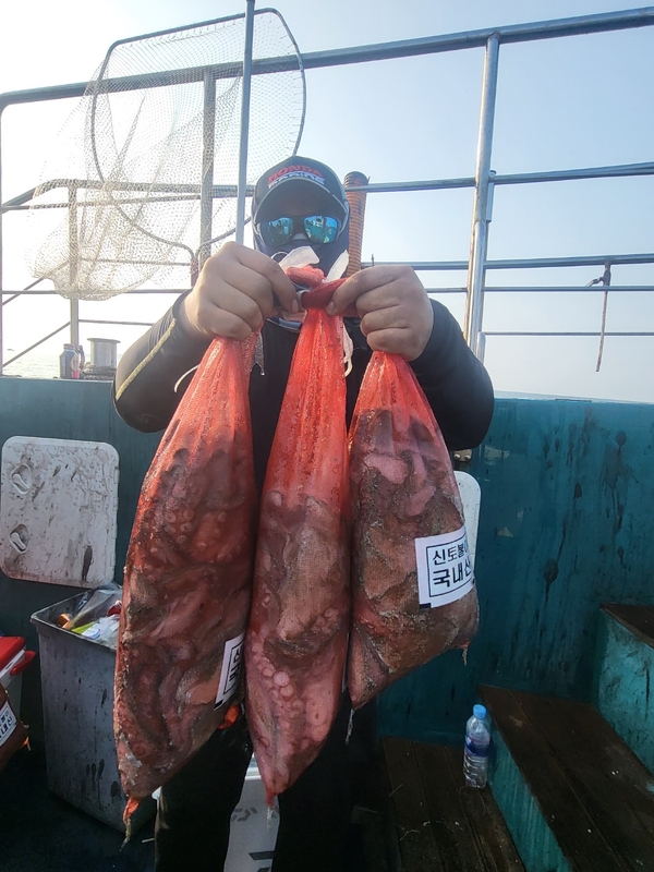 무창포뉴체이스호의 조황일지 이미지 - 12