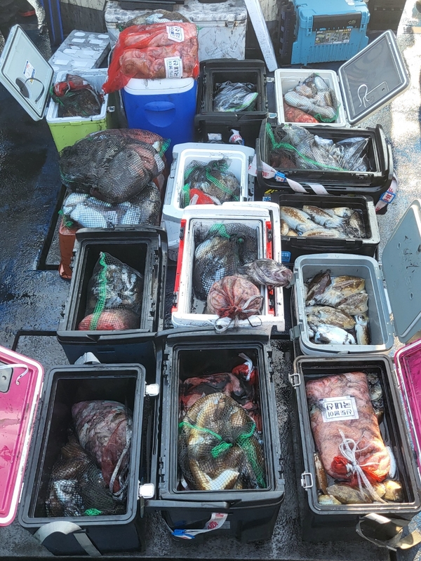 무창포뉴체이스호의 조황일지 이미지 - 2