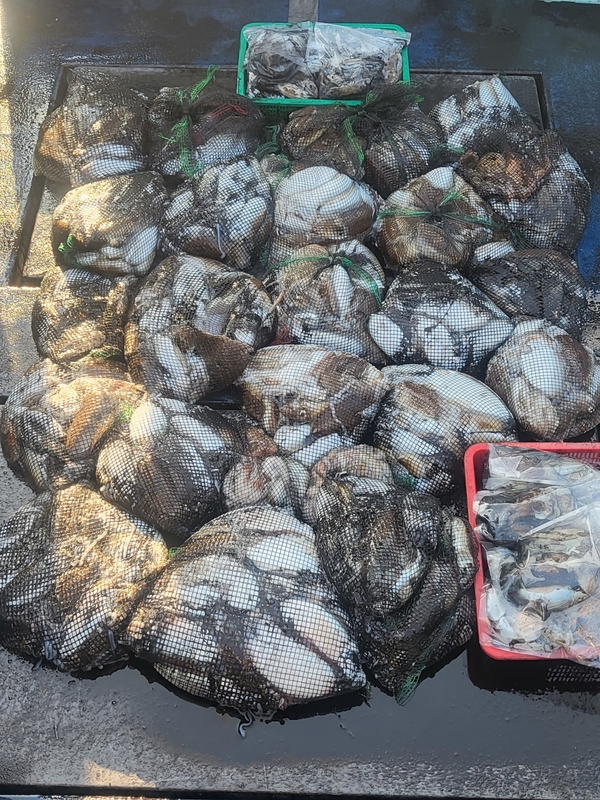 무창포뉴체이스호의 조황일지 이미지 - 2