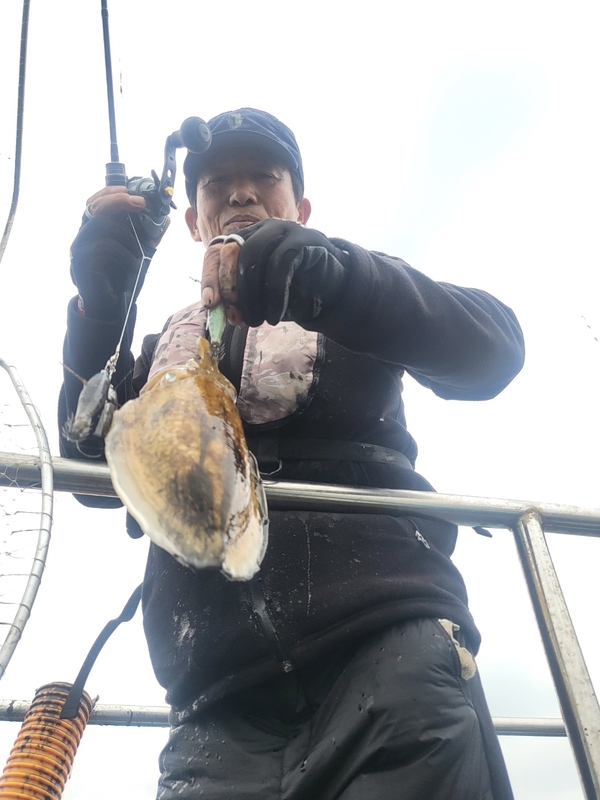 무창포뉴체이스호의 조황일지 이미지 - 6