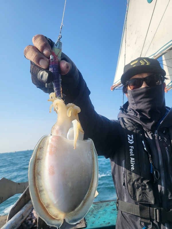 무창포뉴체이스호의 조황일지 이미지 - 7