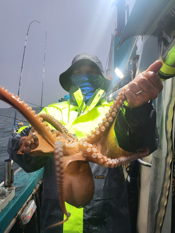 무창포뉴체이스호의 조황일지 이미지 - 6