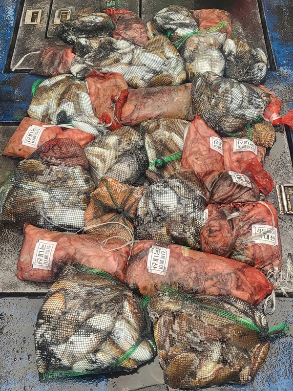 무창포뉴체이스호의 조황일지 이미지 - 15