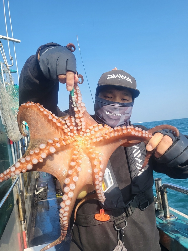 무창포뉴체이스호의 조황일지 이미지 - 2