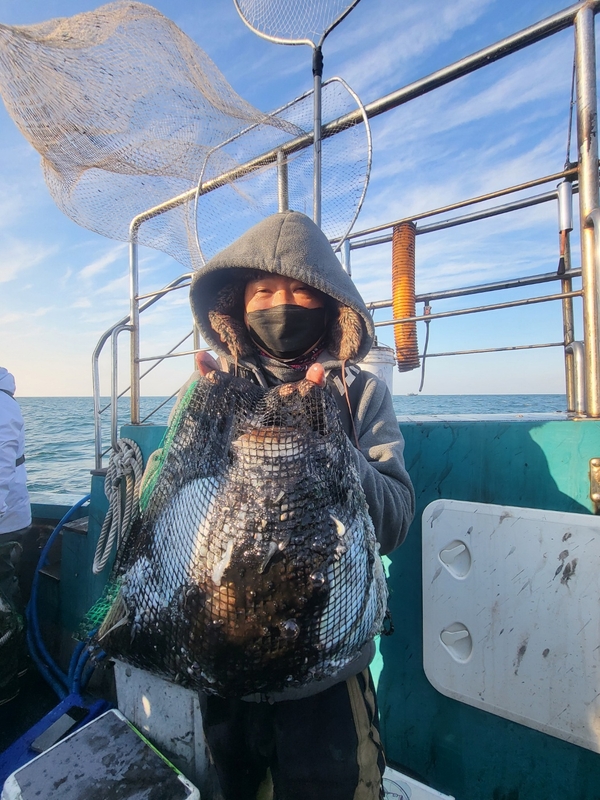 무창포뉴체이스호의 조황일지 이미지 - 16