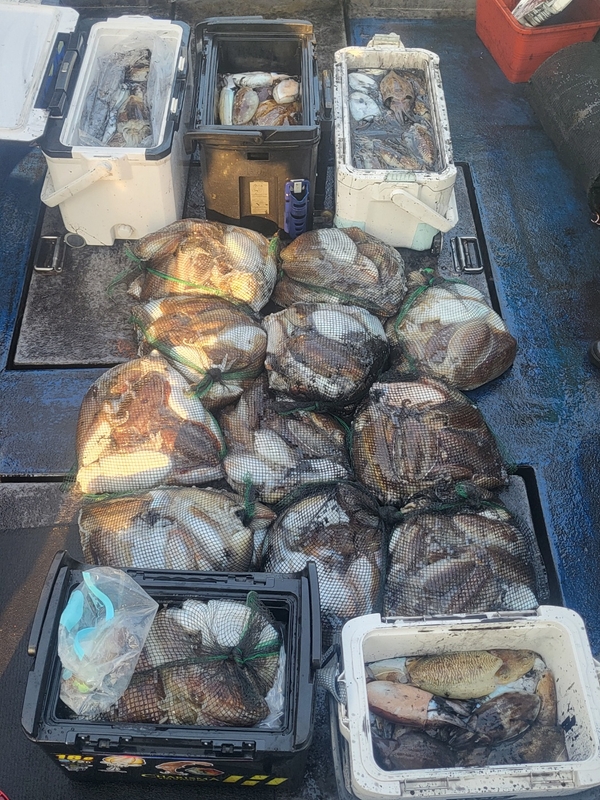 무창포뉴체이스호의 조황일지 이미지 - 9