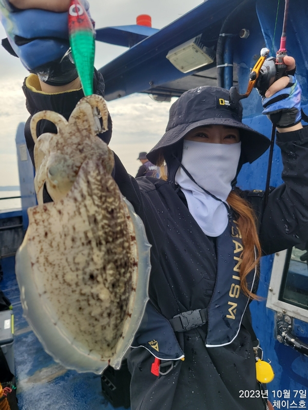 해당 선사를 대표하는 이미지