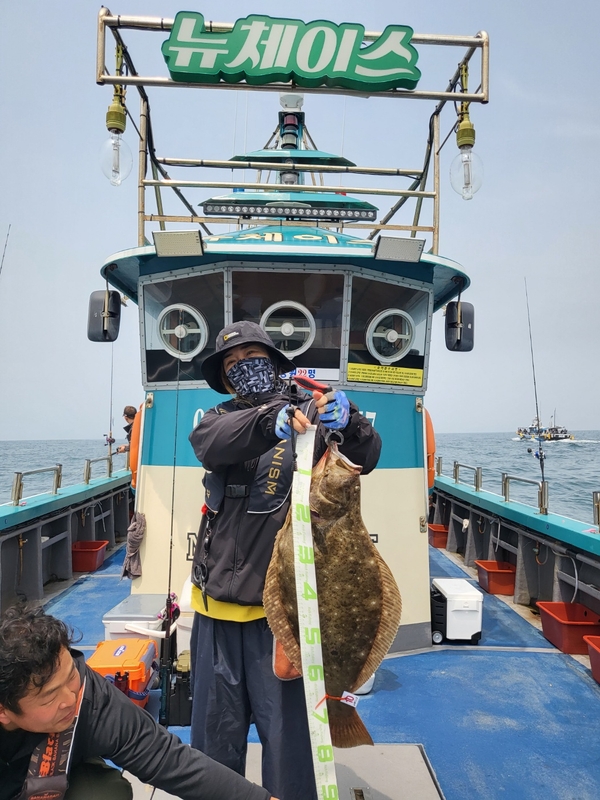 해당 선사를 대표하는 이미지