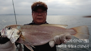 7/7 헤라호 왕백조기낚시 조황  선상낚시로 잡은 물고기 조황