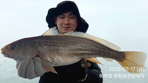 7/17 헤라호 왕백조기낚시 조황  선상낚시로 잡은 물고기 조황