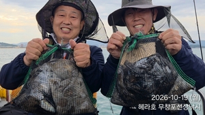 10/19 헤라호 주꾸미낚시 조황  선상낚시로 잡은 물고기 조황