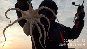 03/01 헤라호 봄주꾸미낚시 조황  선상낚시로 잡은 물고기 조황