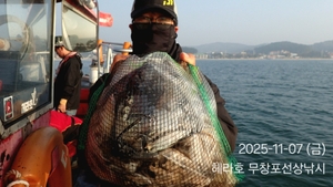 11/7 헤라호 주꾸미낚시 조황  선상낚시로 잡은 물고기 조황