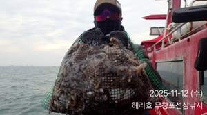 11/12 헤라호 주꾸미낚시 조황  선상낚시로 잡은 물고기 조황