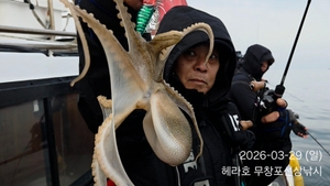 3/29 헤라호 봄주꾸미낚시  선상낚시로 잡은 물고기 조황