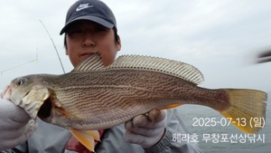 7/13 헤라호 왕백조기낚시 조황  선상낚시로 잡은 물고기 조황