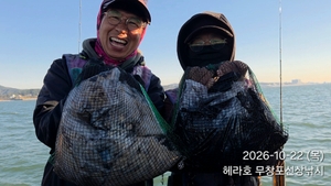 10/22 헤라호 주꾸미낚시 조황  선상낚시로 잡은 물고기 조황