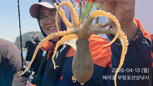 4/13 헤라호 봄주꾸미낚시  선상낚시로 잡은 물고기 조황