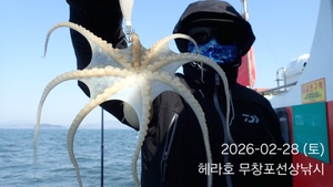 2/28 헤라호 봄주꾸미낚시 조황  선상낚시로 잡은 물고기 조황