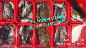 5/22 헤라호 우럭 라이트지깅 선상낚시로 잡은 물고기 조황